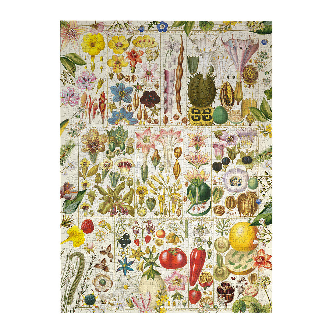 RHS Botanical Bliss 1000 Piece Jigsaw Puzzle by Gibsons made up on white background