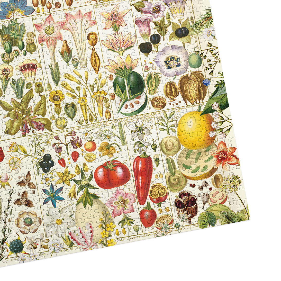 RHS Botanical Bliss 1000 Piece Jigsaw Puzzle by Gibsons made up cropped on white background