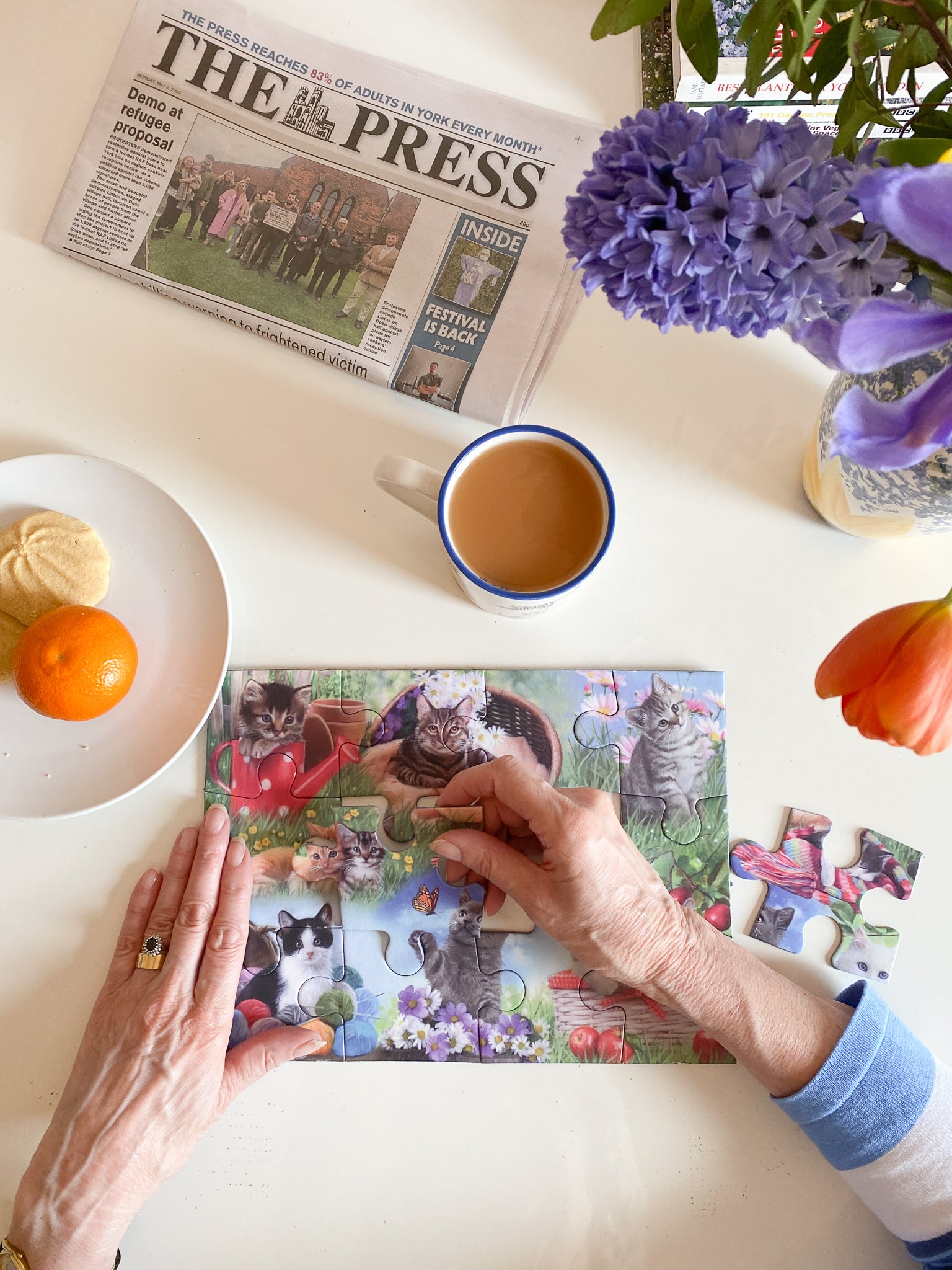 Piecing Together - Cats- Extra Large Piece Jigsaw Puzzle for those living with dementia