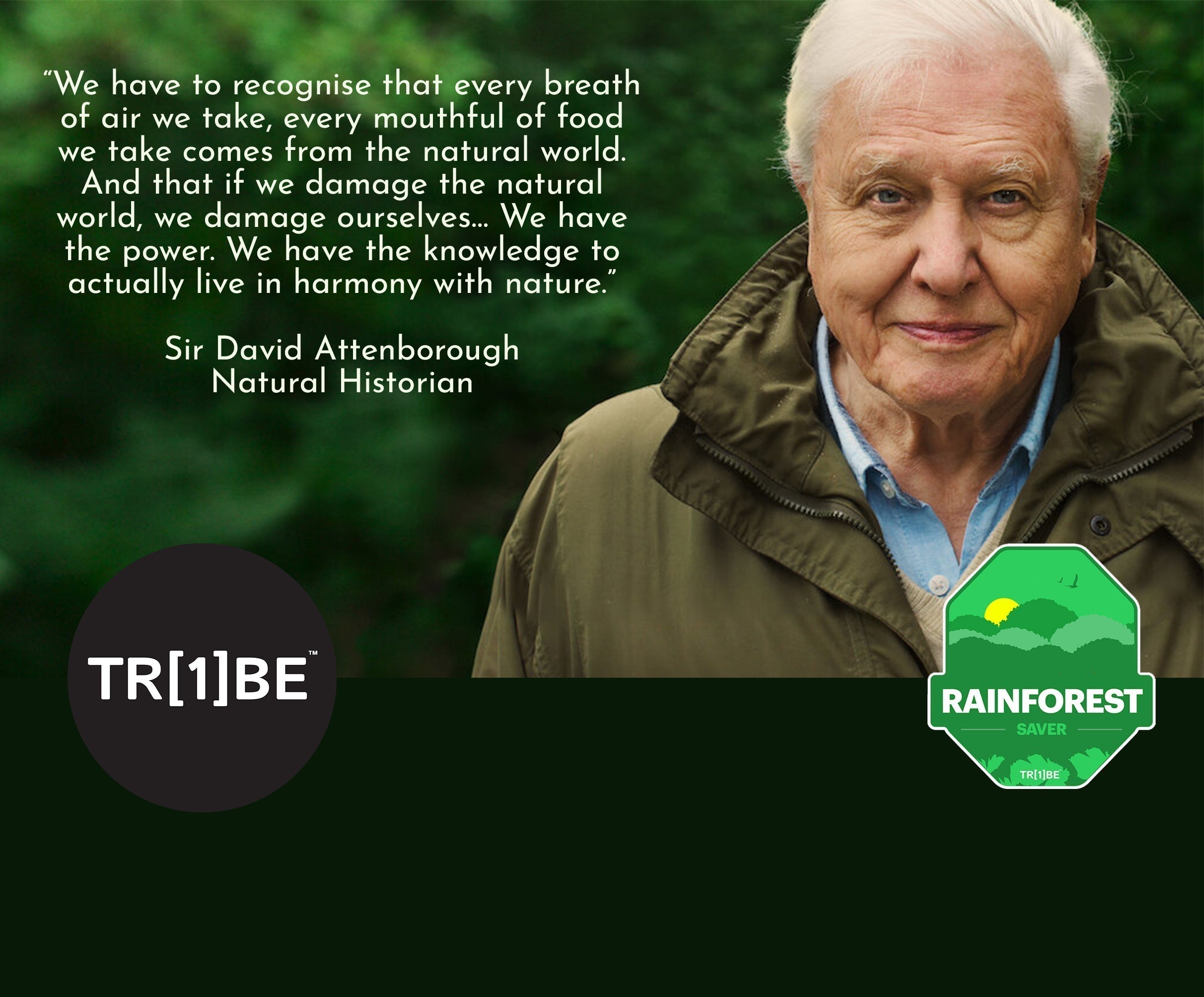 Gibsons Help Fight the Climate Crisis