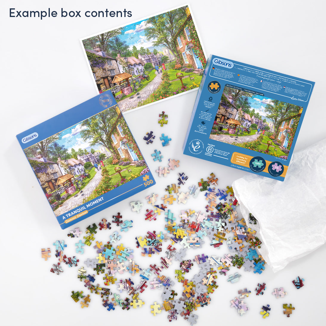 Jigsaw puzzle set with pieces scattered on a white surface, featuring a box labeled 'Tranquil Moment' by Ceaco.