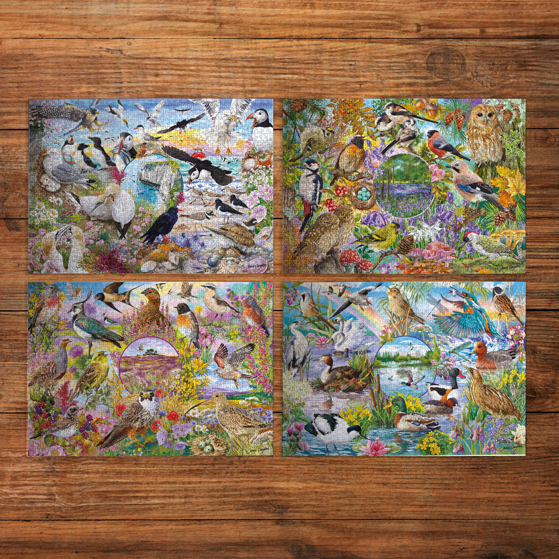 Four rectangular jigsaw puzzle pieces arranged in a 2x2 grid on a brown wooden surface. Each puzzle features a colourful nature scene with birds, flowers, trees, and water, showing a variety of species like ducks, geese, owls, and woodpeckers.
