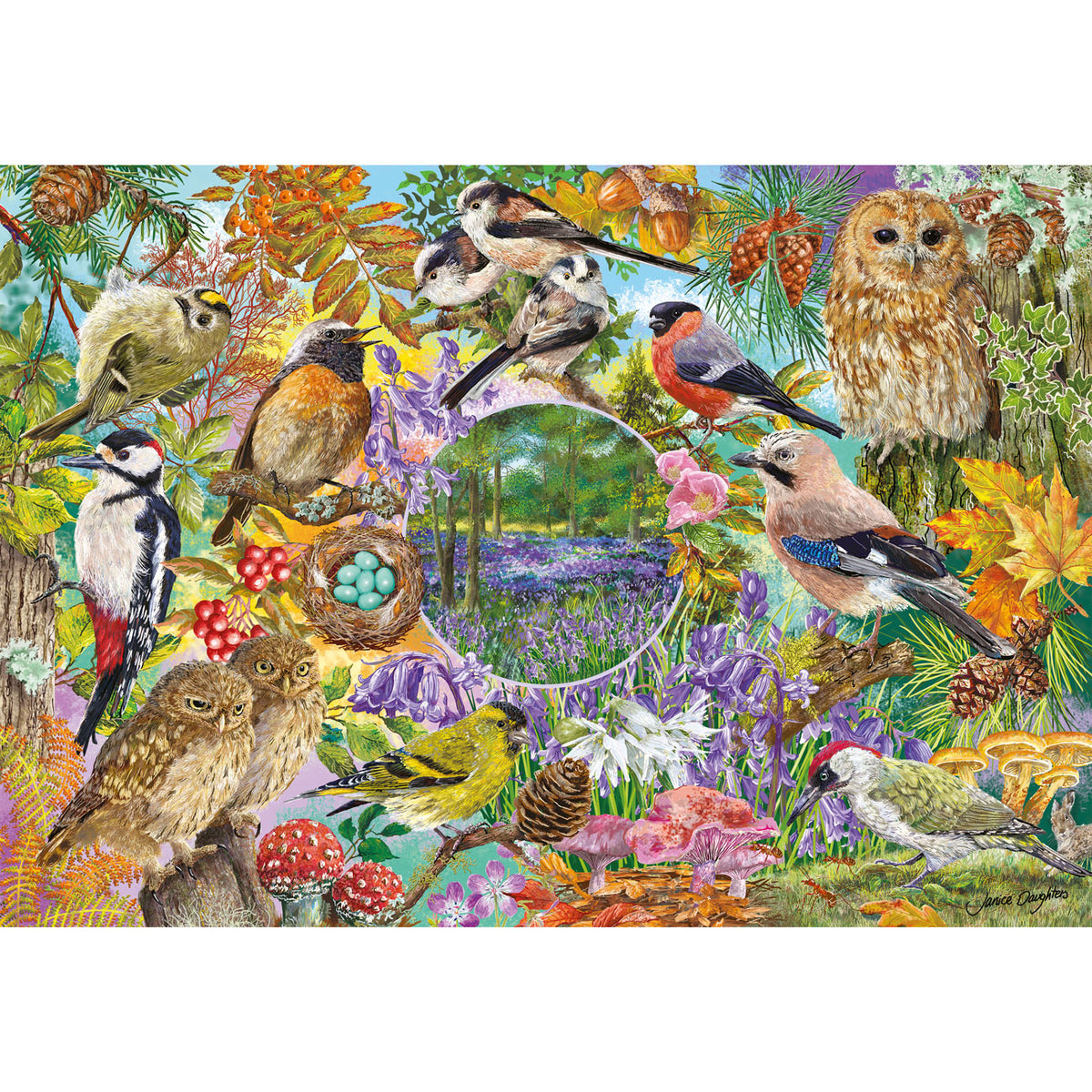 Gibsons RSPB Wings in the Wild - Forest and birds image