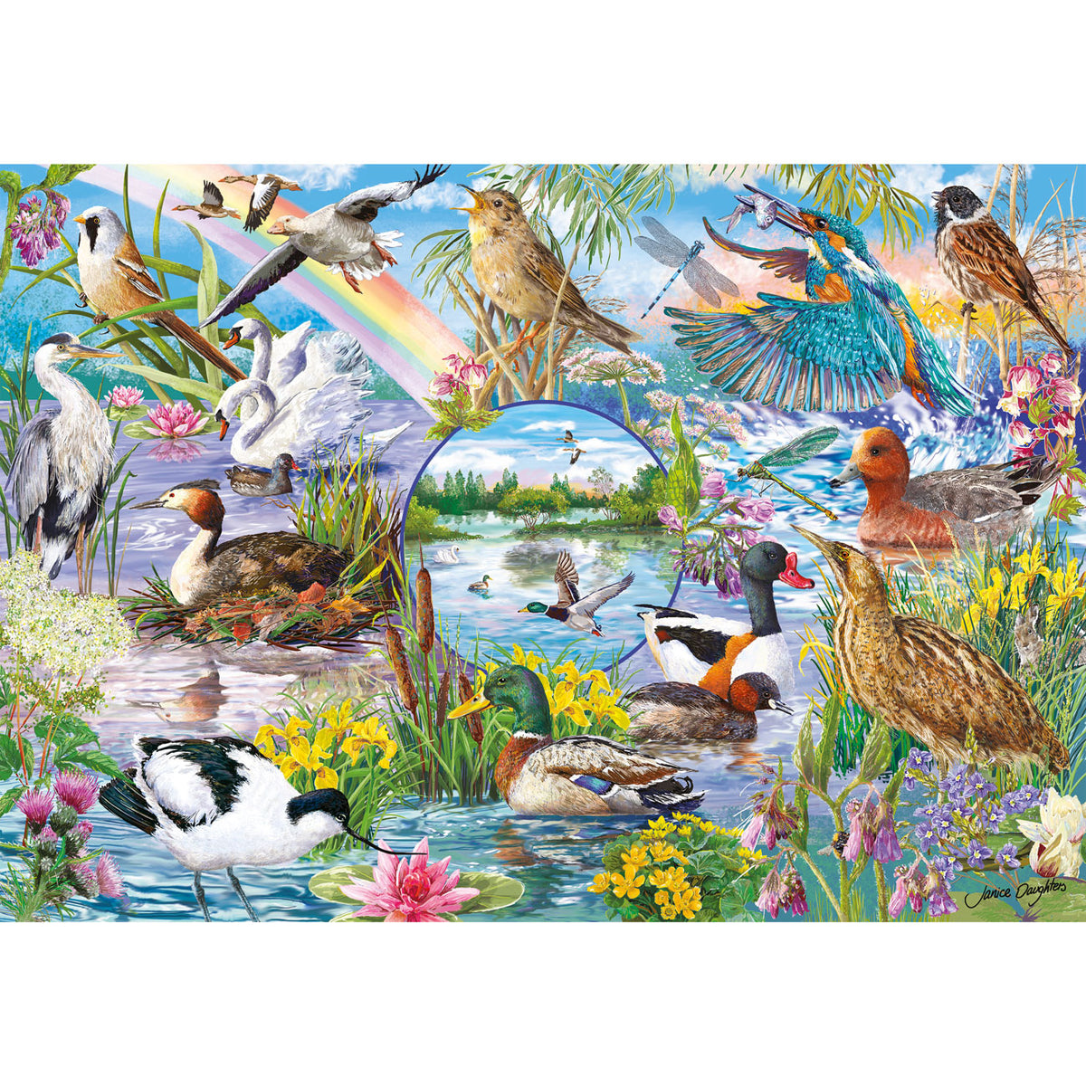 Gibsons RSPB Wings in the Wild - Wetlands and birds image
