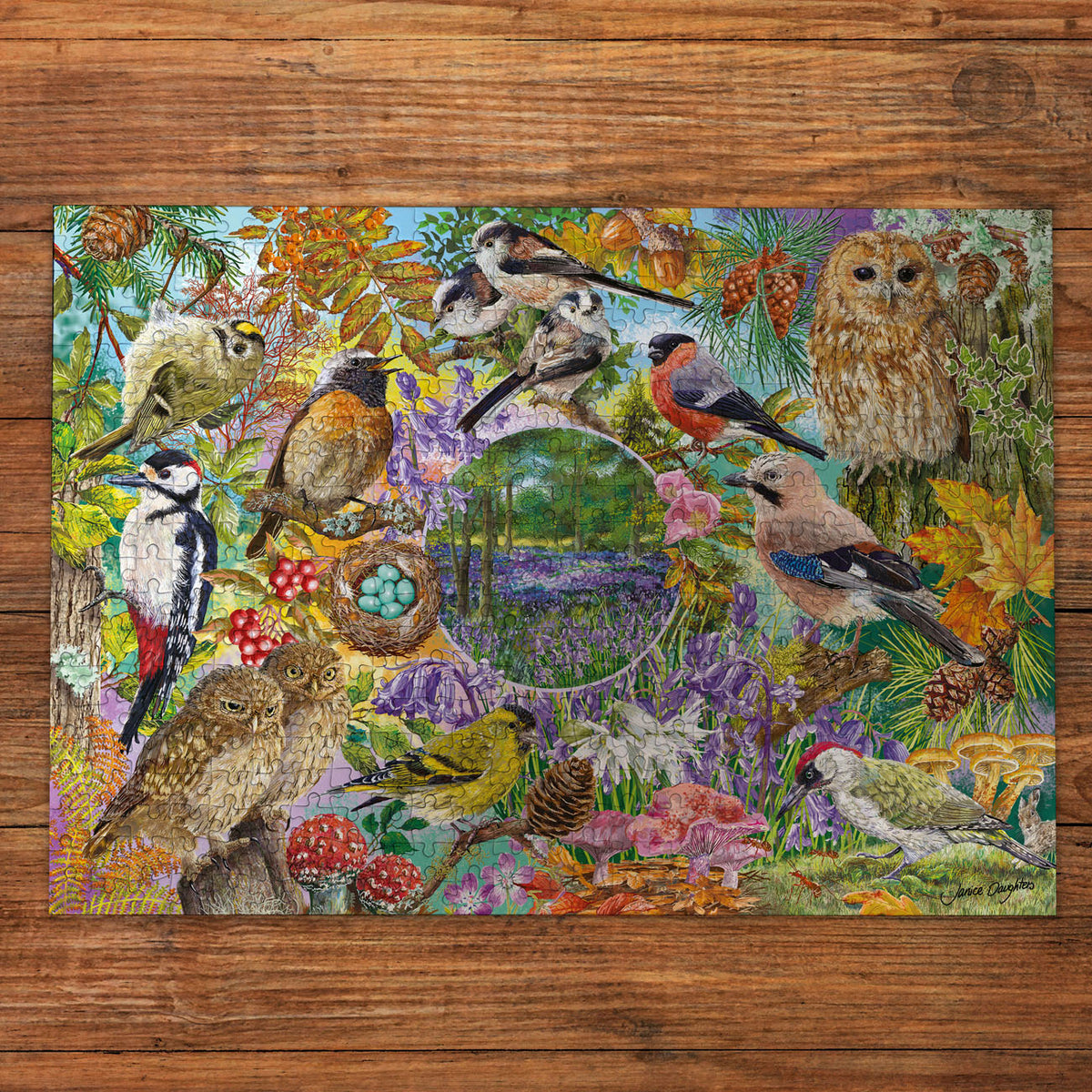 Colourful bird-themed puzzle on a wooden surface