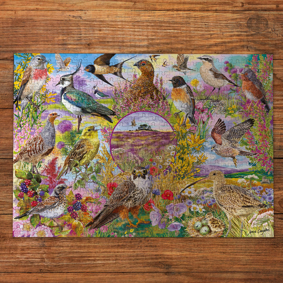 Colourful bird-themed puzzle on a wooden surface