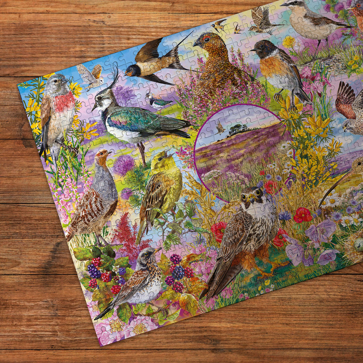 Colourful bird-themed puzzle on a wooden surface