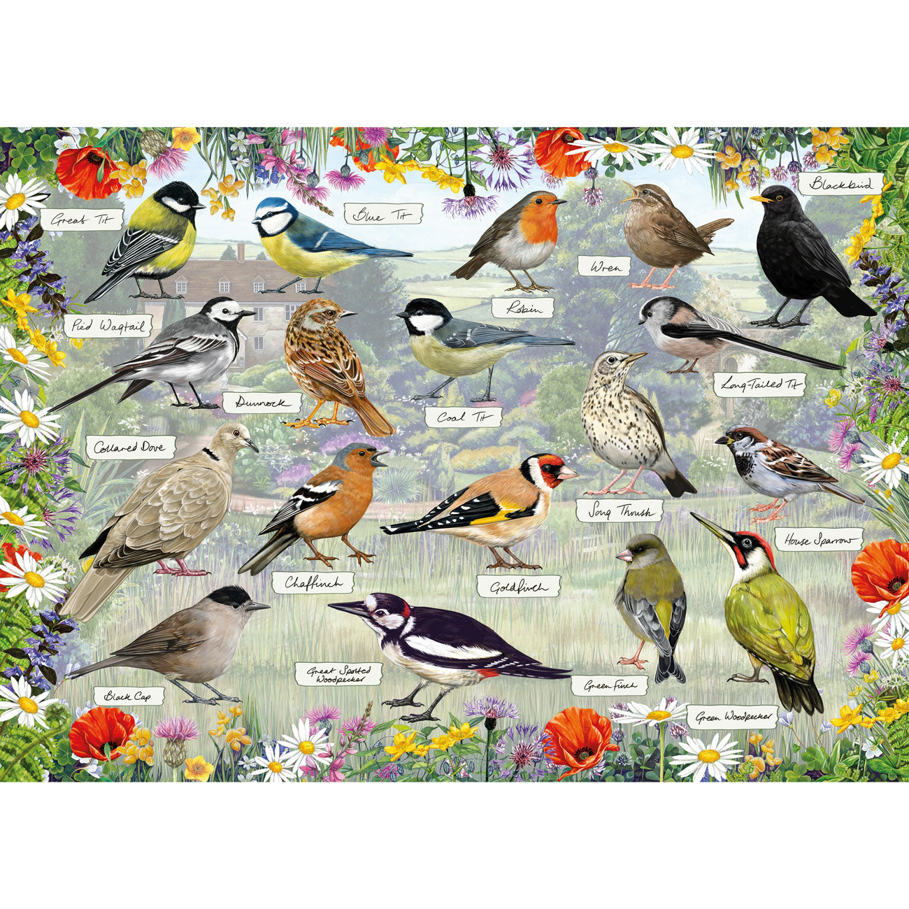 Illustration of various birds with labels and floral background