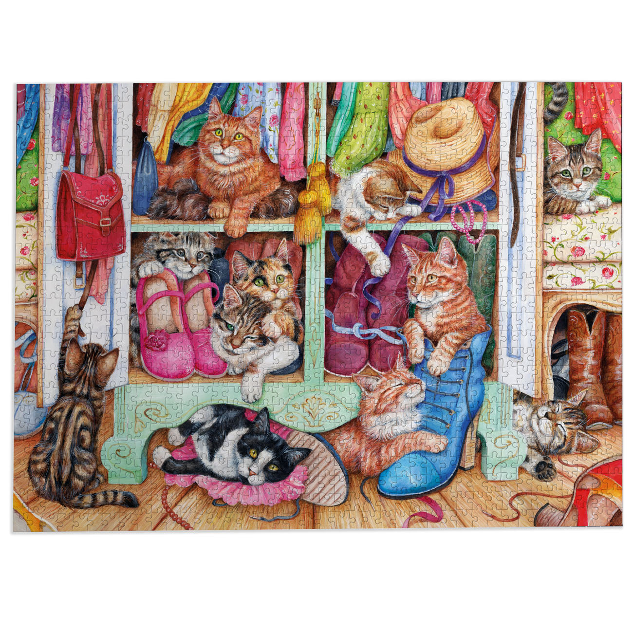 Illustration of cats in a closet with various items