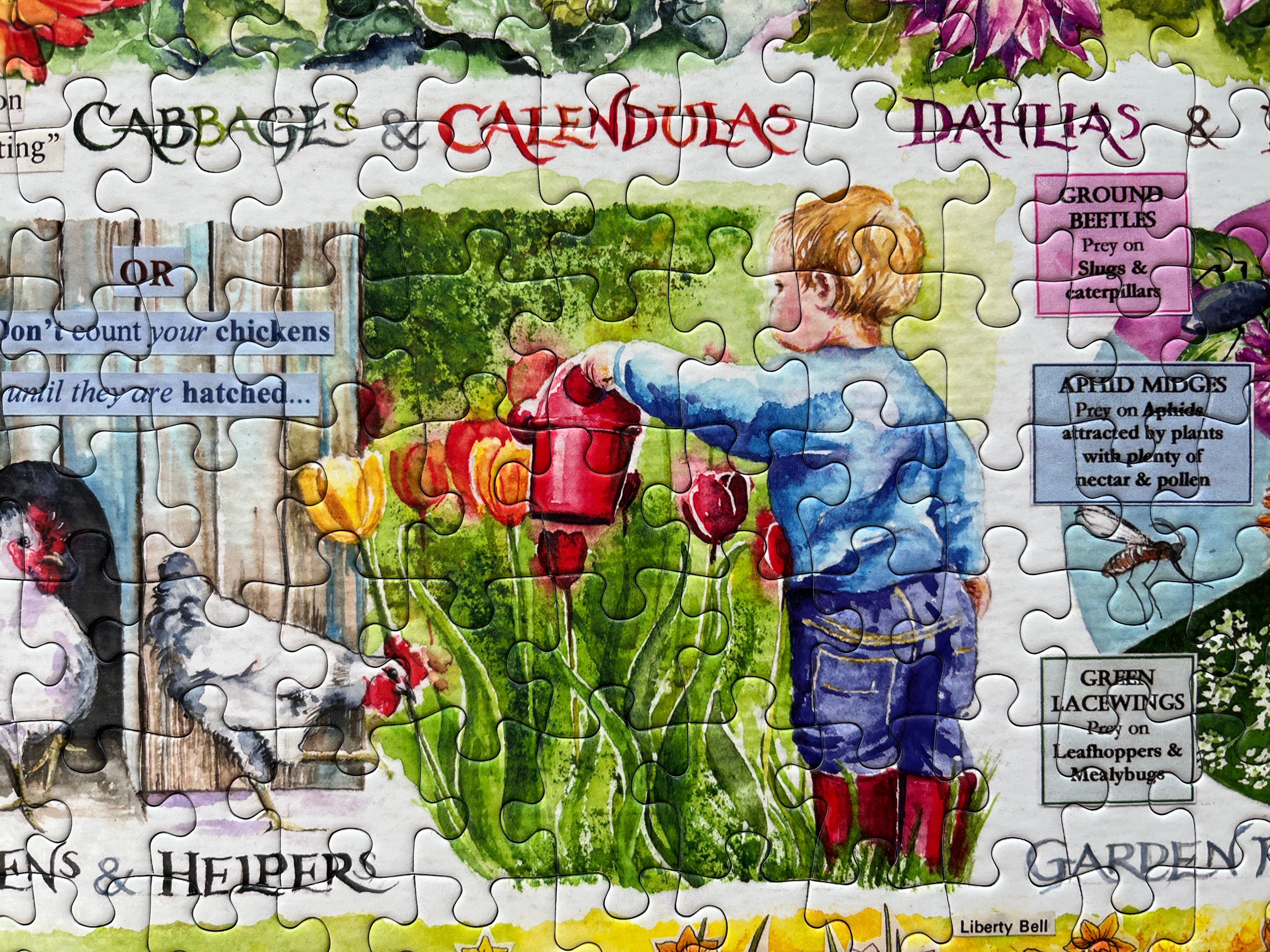 A completed jigsaw puzzle featuring a colourful garden illustration with text labels such as 'Cabbages & Calendulas', 'Dahlias', 'Ground Beetles'. The scene shows a child watering flowers, chickens, and a gate, with illustrated vegetables and garden elements.