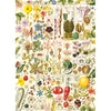 RHS Botanical Bliss 1000 Piece Jigsaw Puzzle by Gibsons beautiful poster