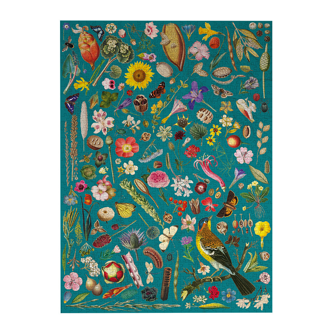 RHS Floral Fantasy 1000 Piece Jigsaw Puzzle by Gibsons made up on white background