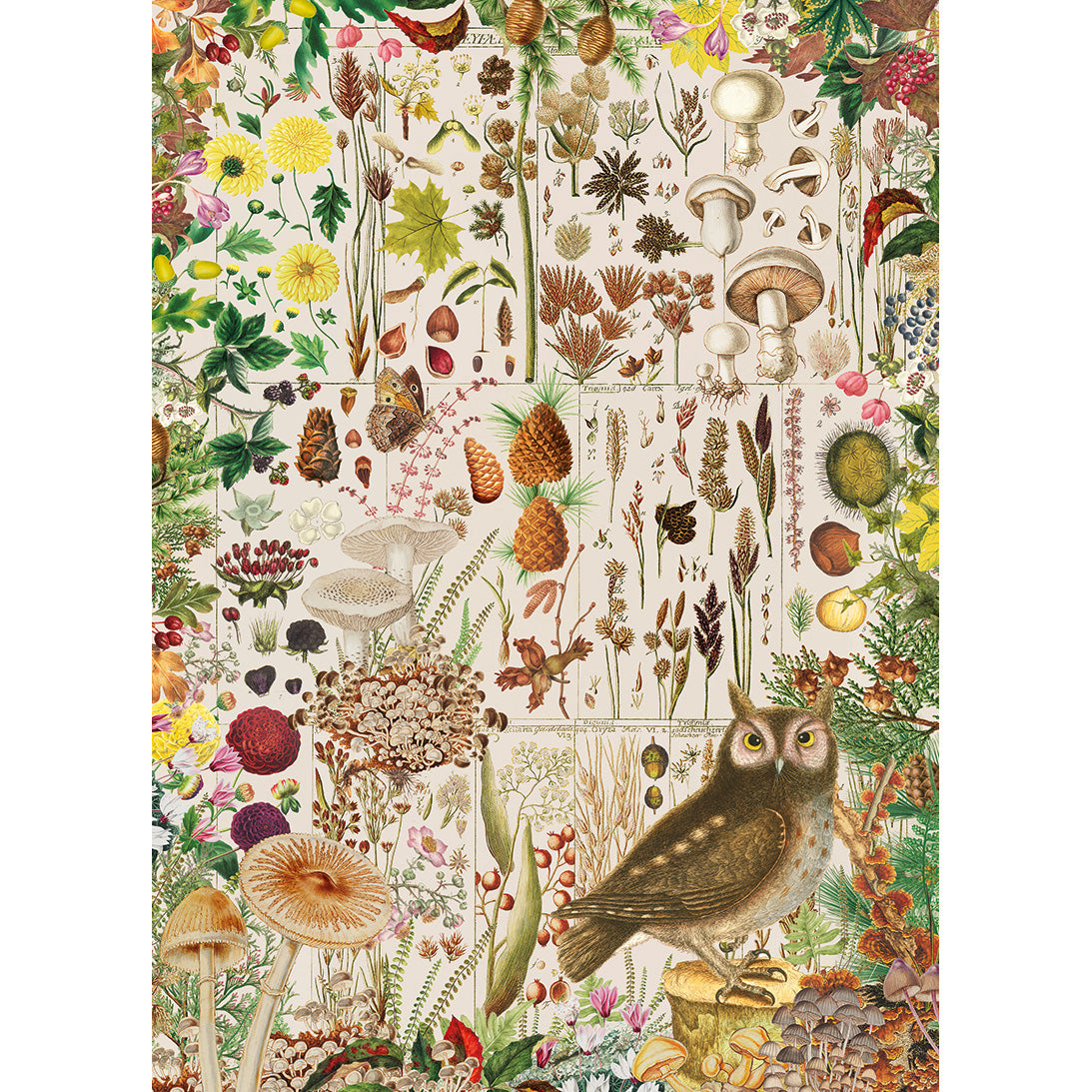 Gibsons RHS Fall Florals 1000 Piece Jigsaw Puzzle Poster