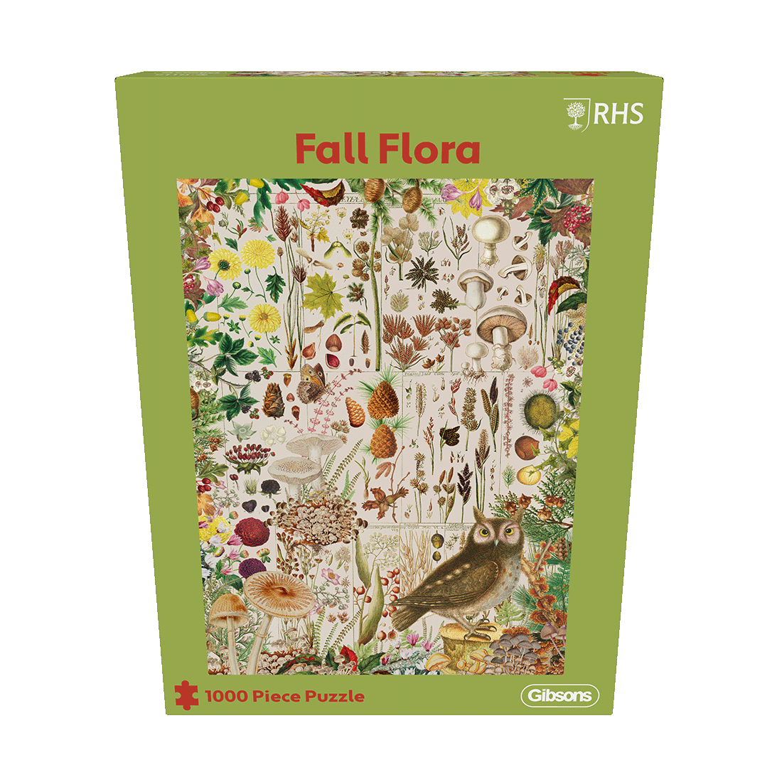 Gibsons RHS Fall Florals 1000 Piece Jigsaw Puzzle for Adults in Green retail box front view
