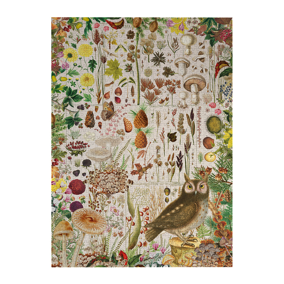 Gibsons RHS Fall Florals 1000 Piece Jigsaw Puzzle for Adults made up on white background