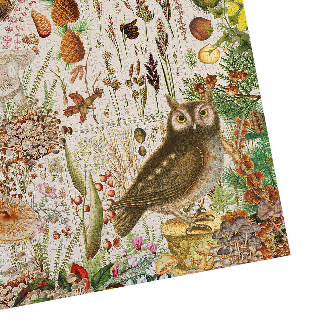 Gibsons RHS Fall Florals 1000 Piece Jigsaw Puzzle for Adults made up detail on white background