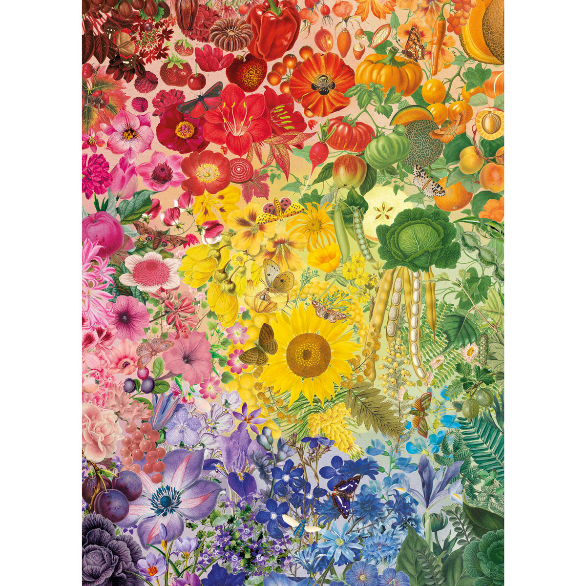 Gibsons RHS Colours of Nature 1000 Piece Jigsaw Puzzle for Adults - Poster