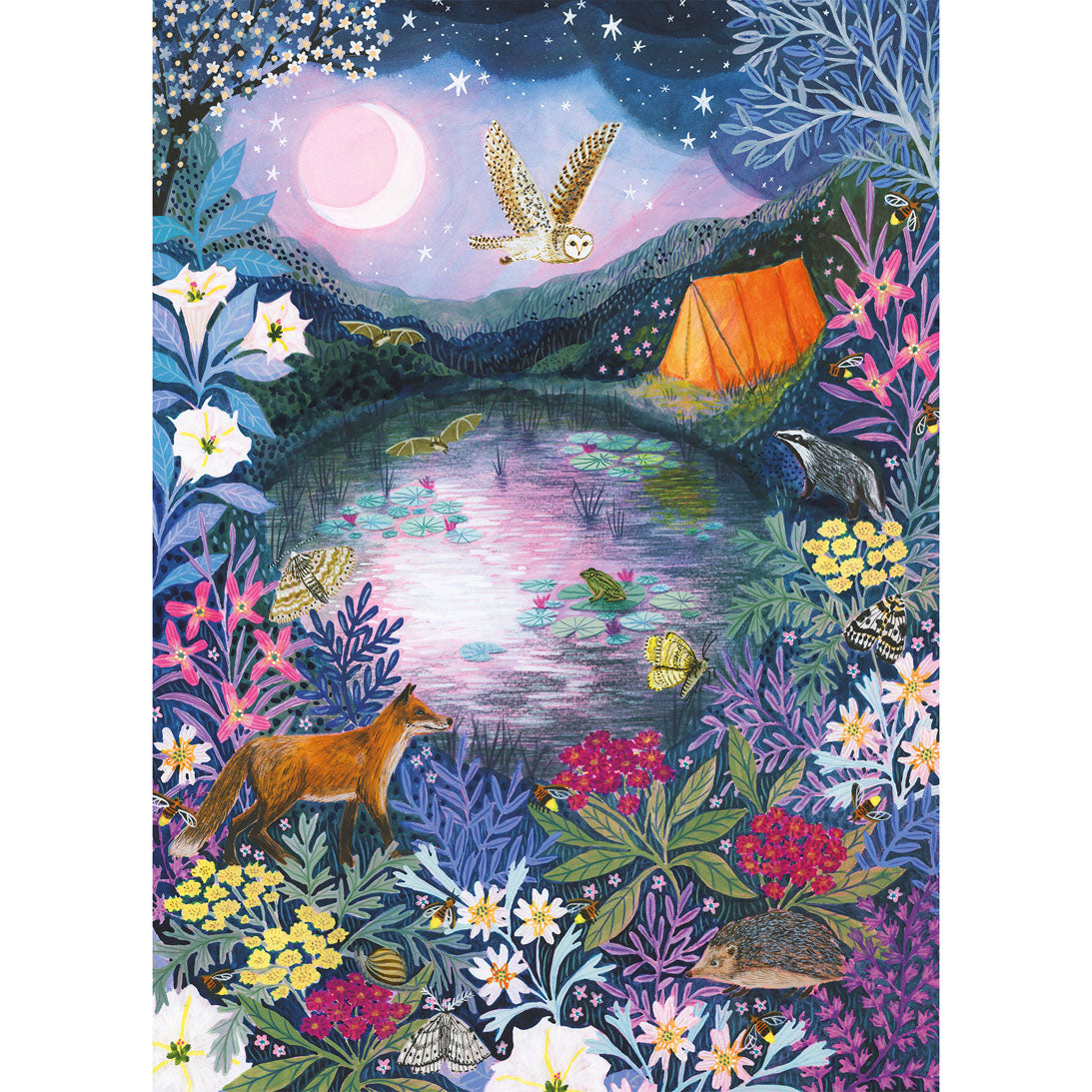 A whimsical illustrated night landscape showing a moonlit pond with a glowing orange tent, a owl flying overhead, a fox walking through flowers, frogs in the water, and a hedgehog in the foreground. The artwork is highly colourful with purple, blue, pink, yellow, green, and orange tones.
