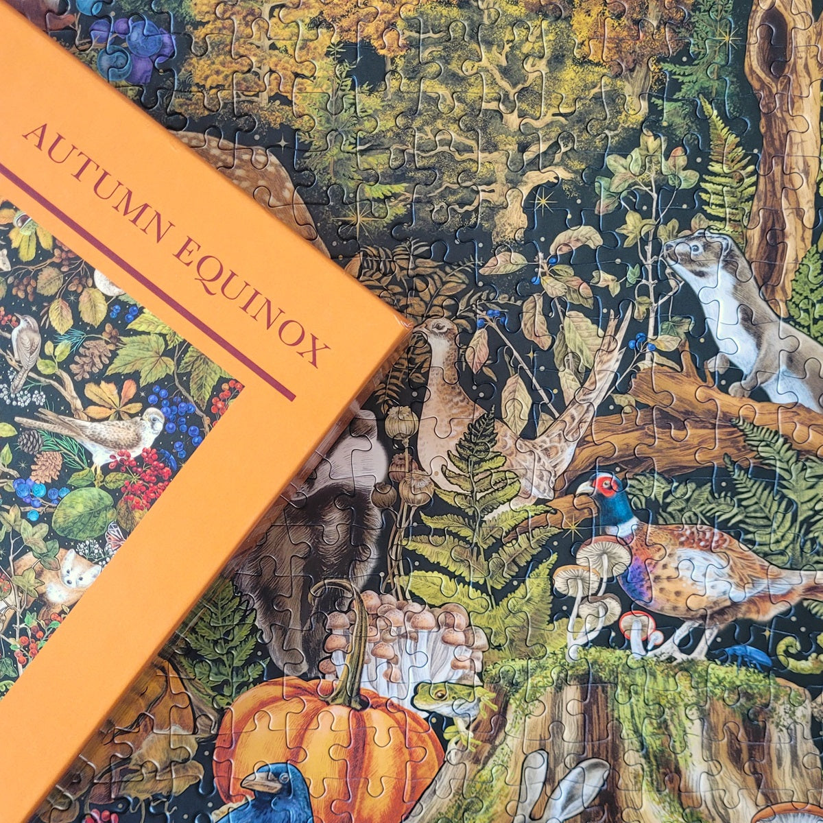 The Art File Autumn Equinox 1000 Piece Jigsaw Puzzle Gibsons corner of the jigsaw box on top of build puzzle