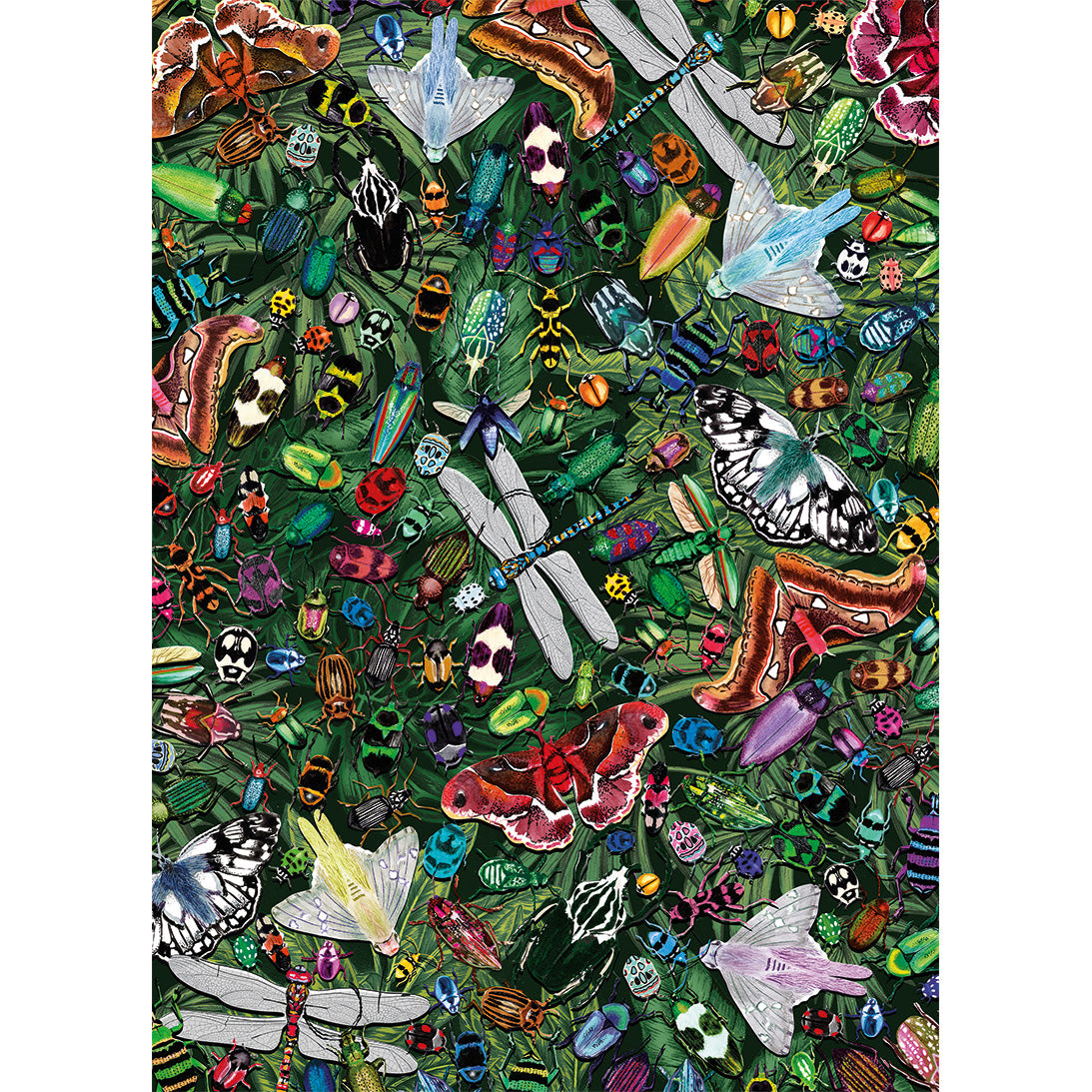 The Art File Winged Wonders 1000 Piece Jigsaw Puzzle by Gibsons beautiful Poster