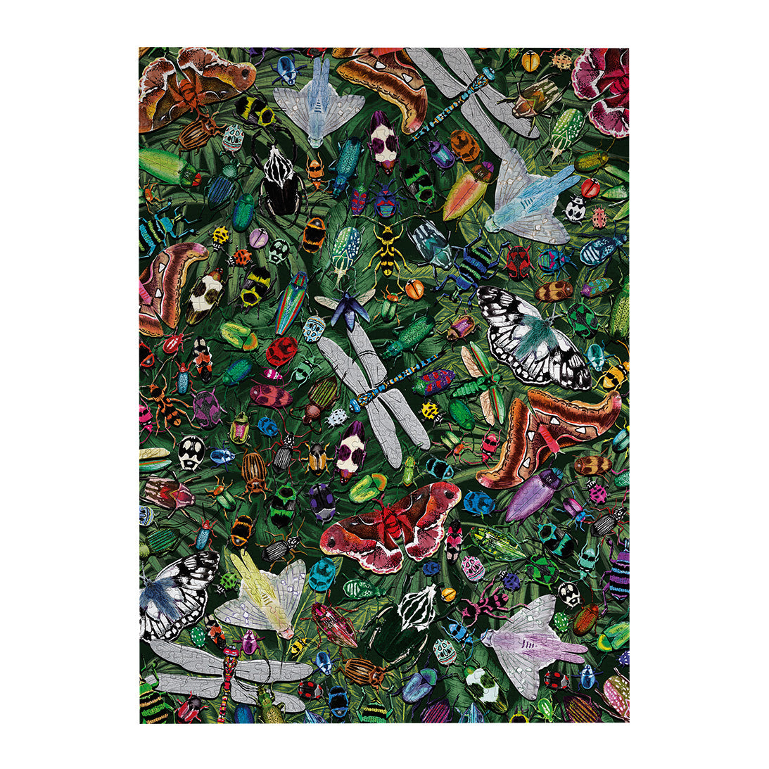 The Art File Winged Wonders 1000 Piece Jigsaw Puzzle by Gibsons made up on white background