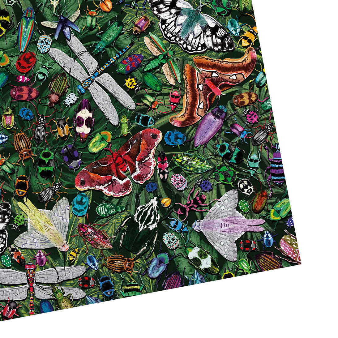 The Art File Winged Wonders 1000 Piece Jigsaw Puzzle by Gibsons made up detail on white background