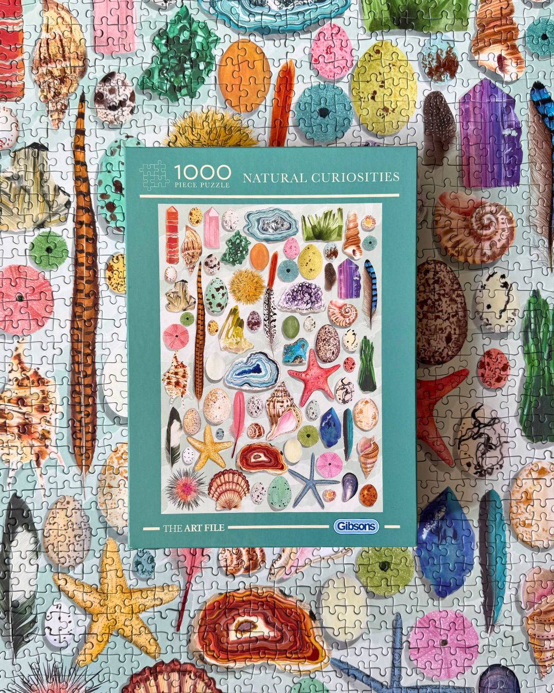 A jigsaw puzzle box titled '1000 Natural Curiosities' by The Art File, placed on top of a completed multicolour puzzle featuring shells, starfish, and sea life. The box has a teal border and shows various colourful natural specimens.