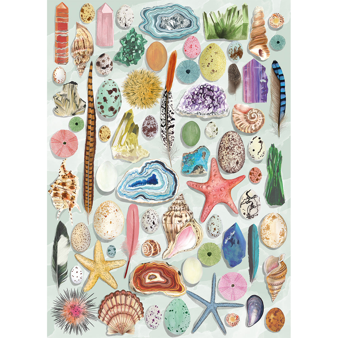 The Art File Natural Curiosities 1000 Piece Jigsaw Puzzle by Gibsons a beautiful poster