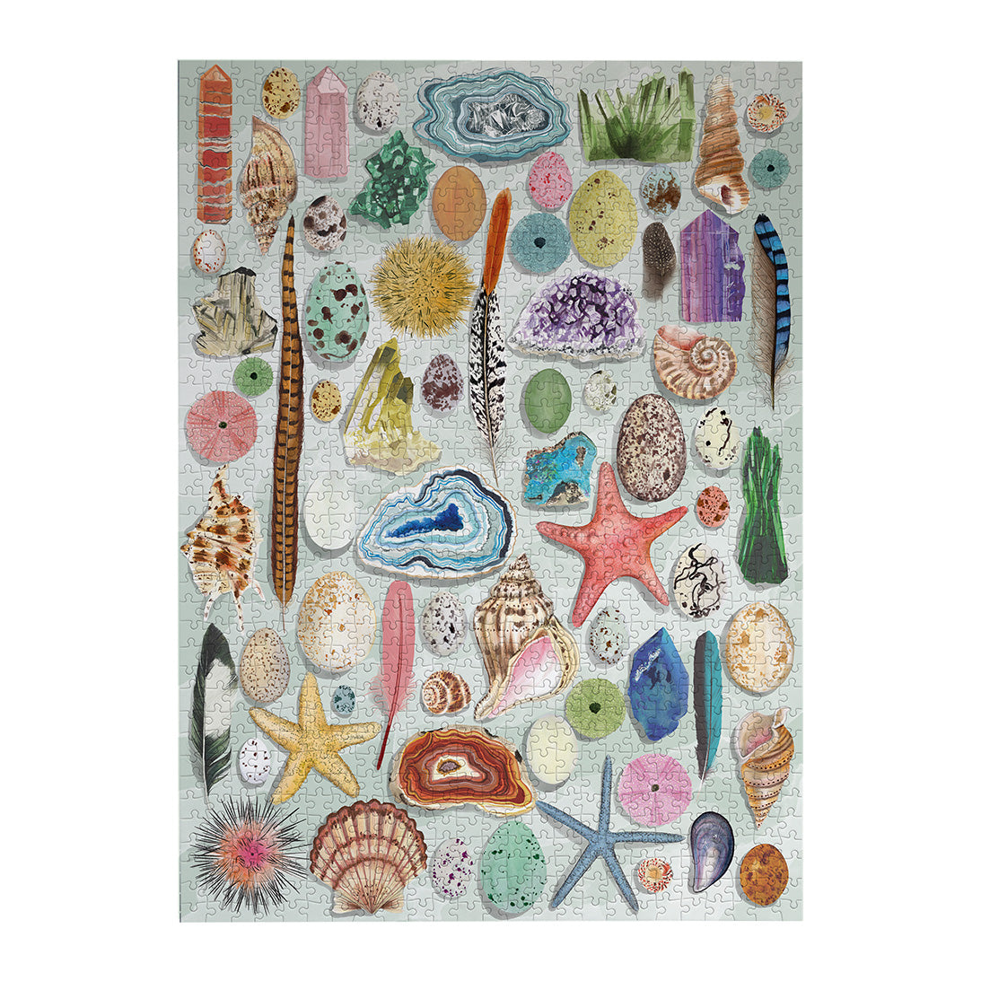 The Art File Natural Curiosities 1000 Piece Jigsaw Puzzle by Gibsons made up on white background