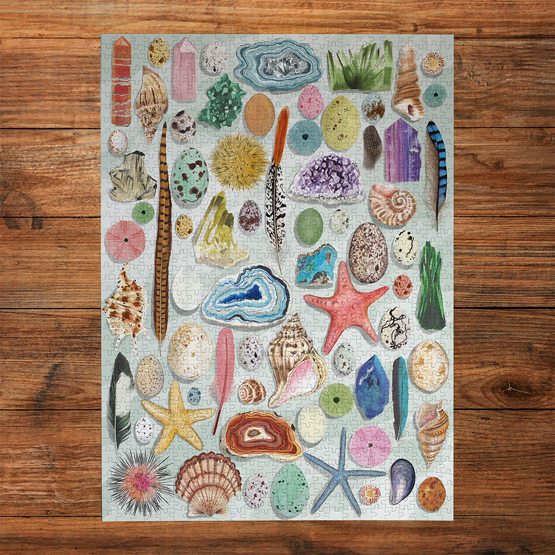 The Art File Natural Curiosities 1000 Piece Jigsaw Puzzle by Gibsons made up on wooden table