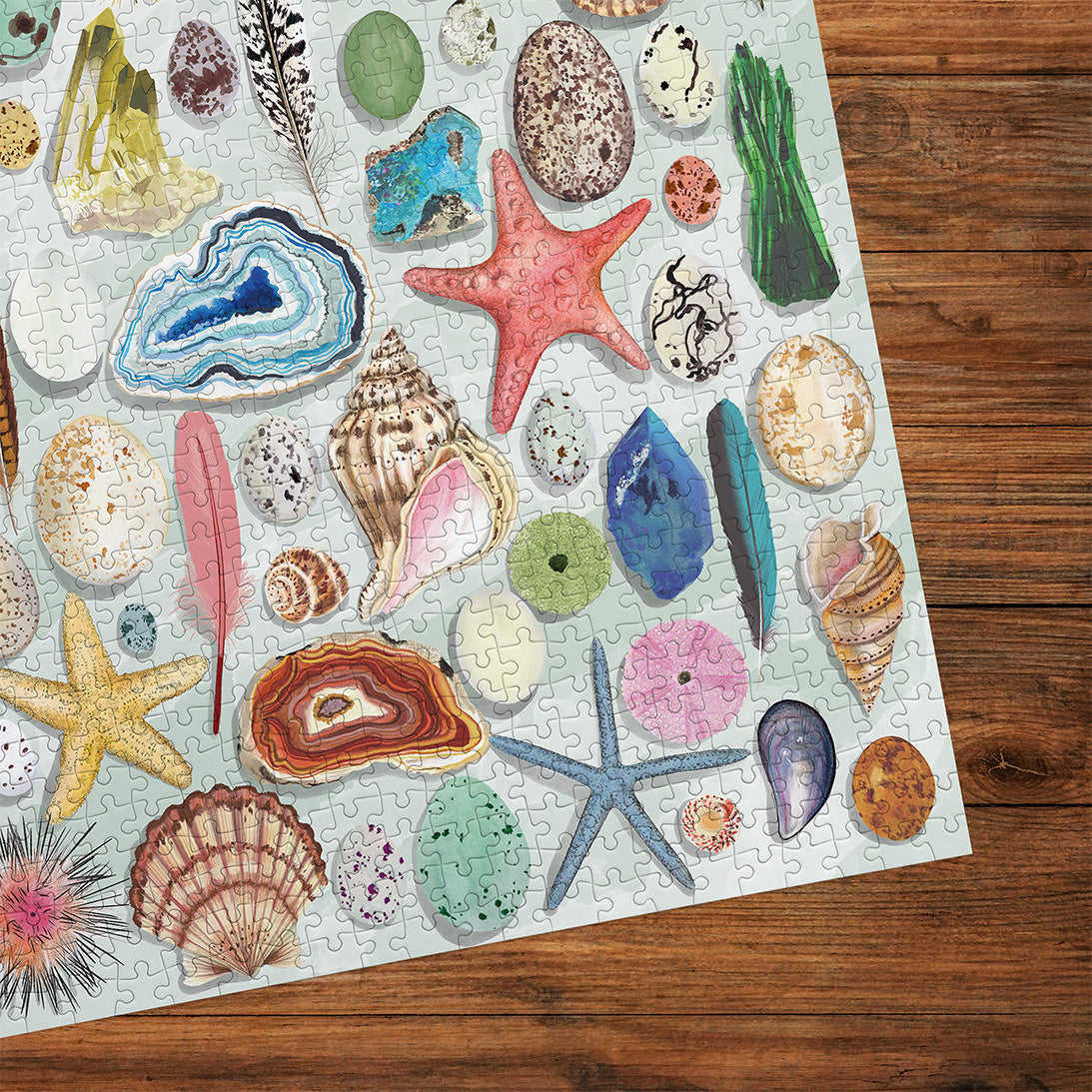 The Art File Natural Curiosities 1000 Piece Jigsaw Puzzle by Gibsons made up detail on wooden table