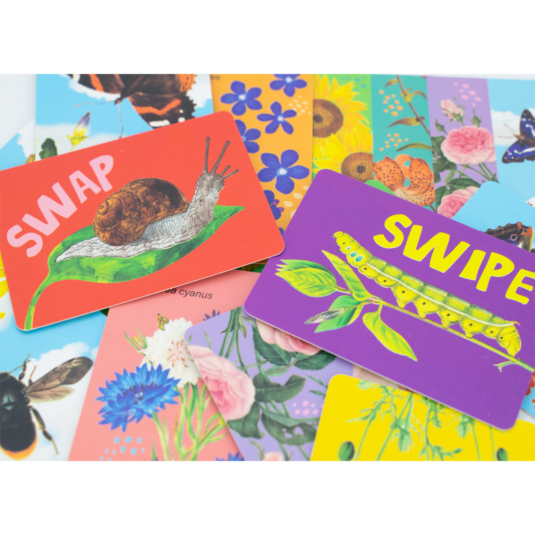 RHS Swapple card game example of cards