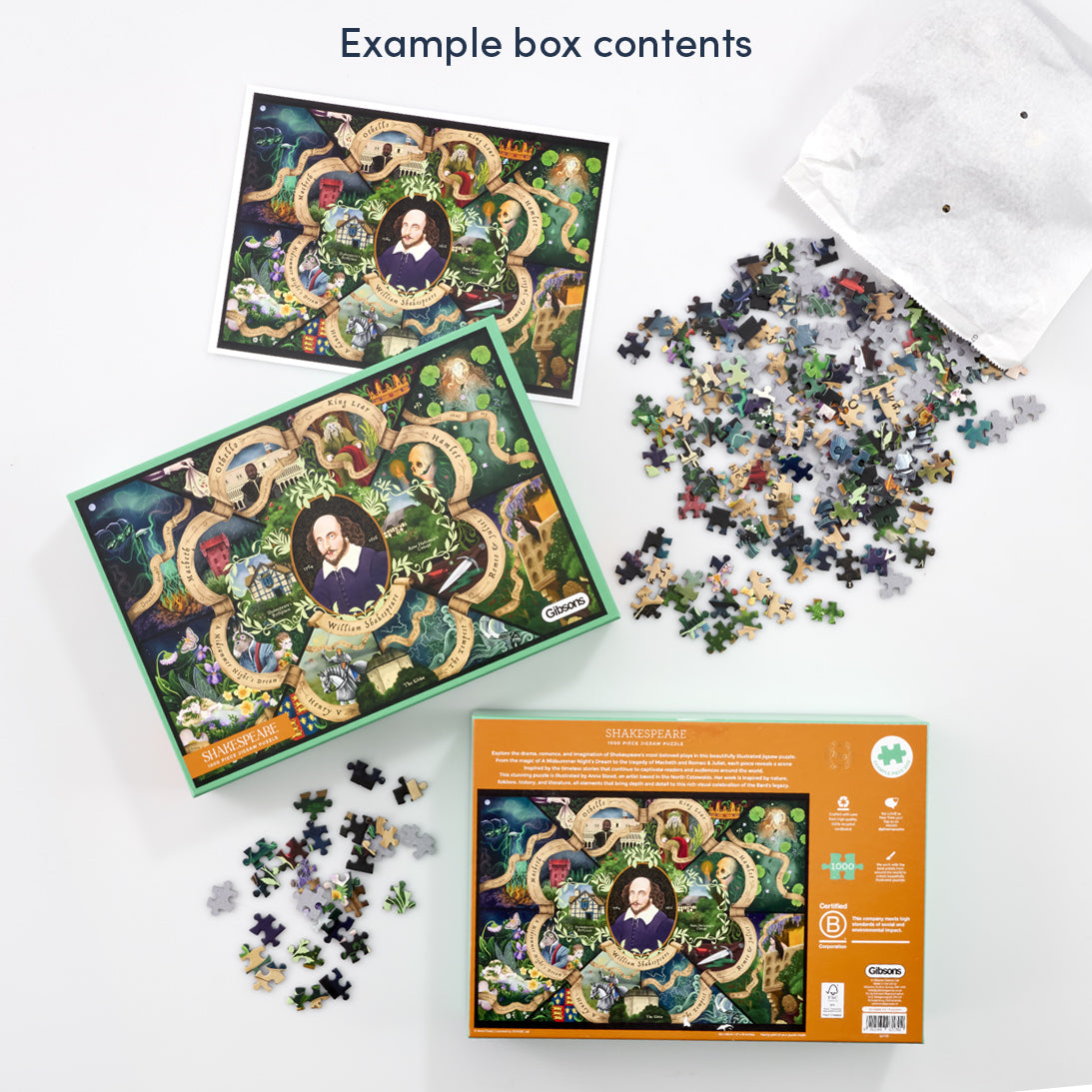Example of box jigsaw puzzle content