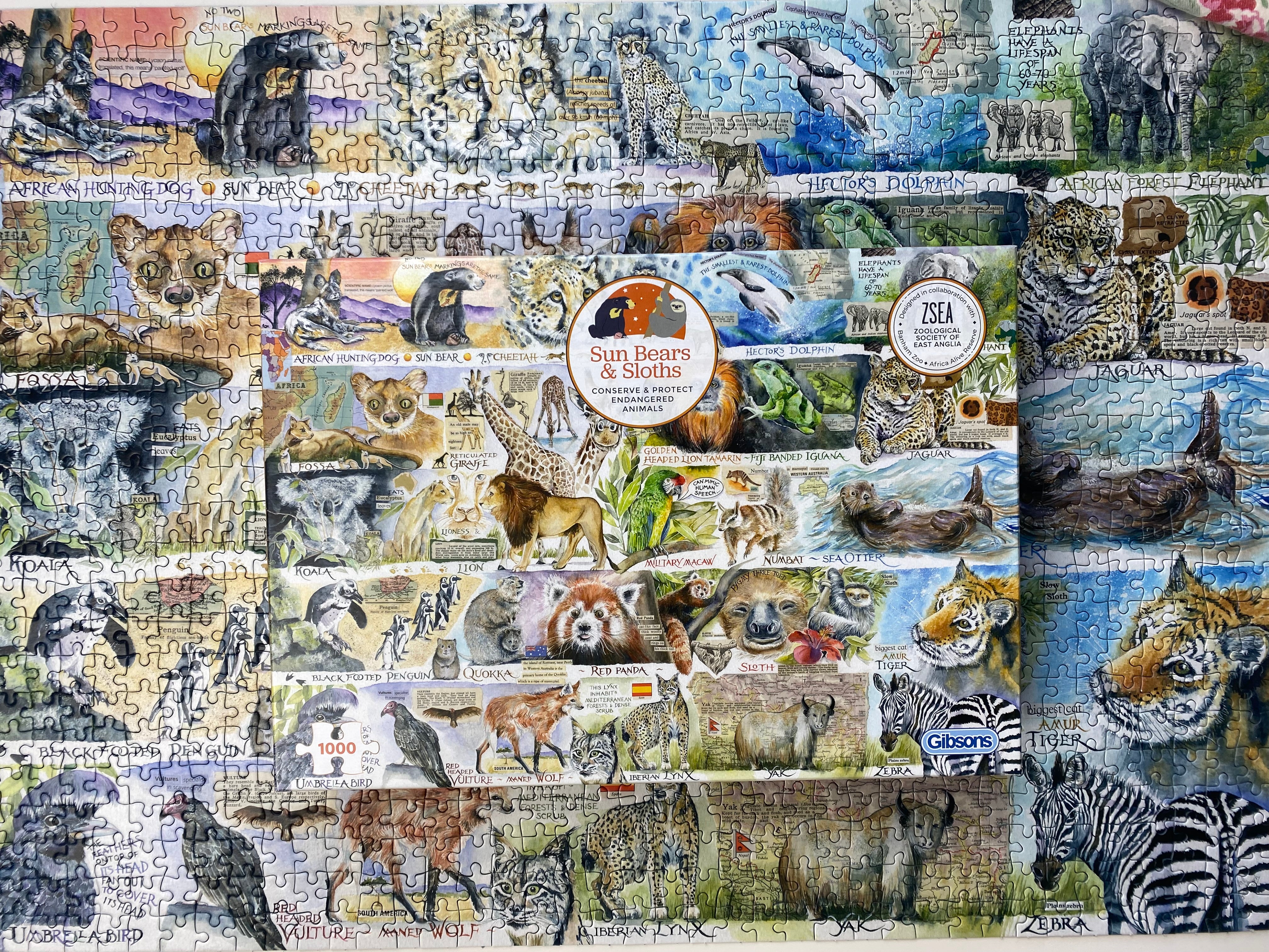 A completed jigsaw puzzle featuring a collage of various wild animals including lions, tigers, zebras, wolves, and elephants, with a central circular logo reading 'Sun Bear & Wolves' and a '2500' piece count badge.