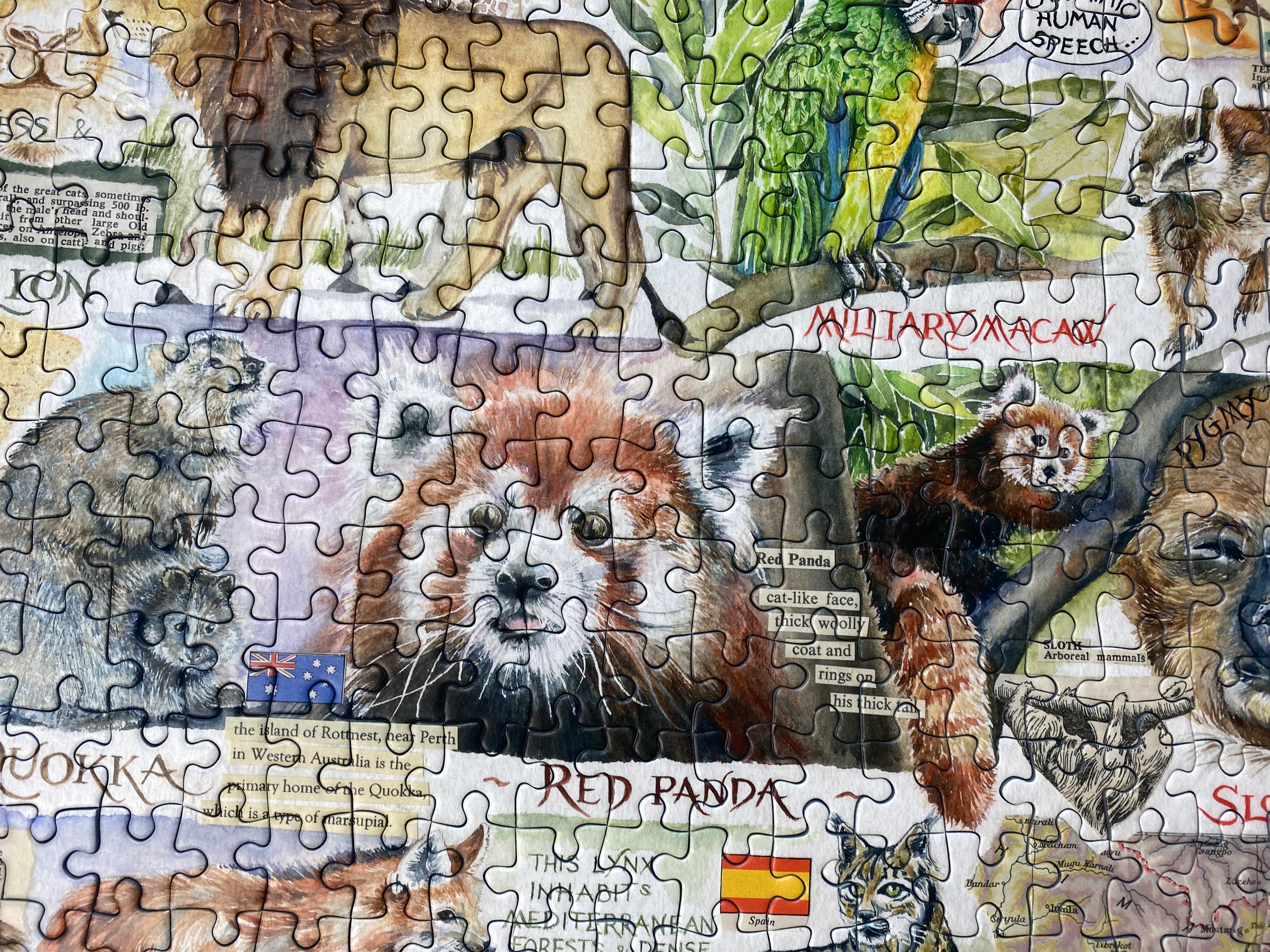 Sun Bears and Sloths