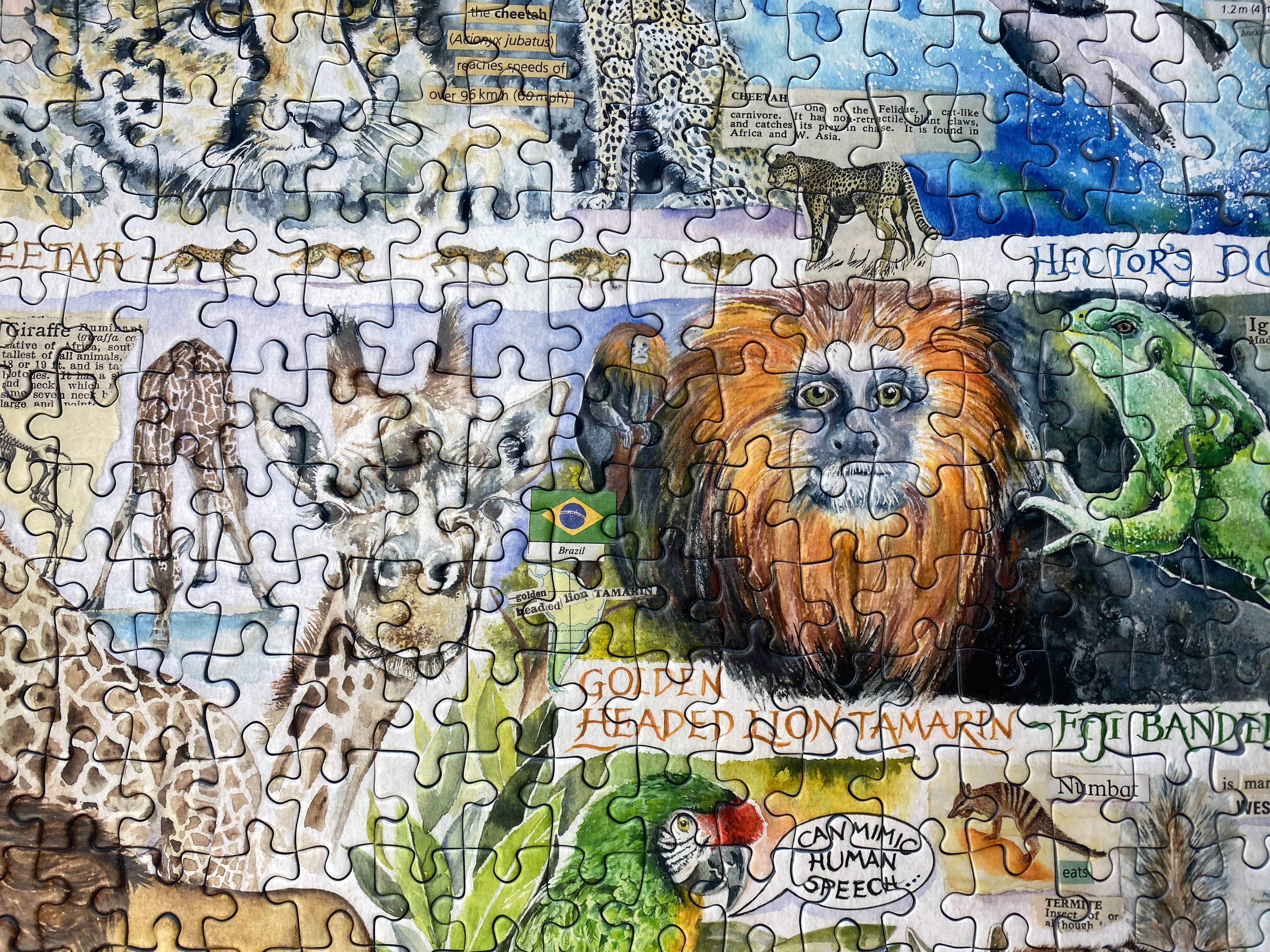 A completed jigsaw puzzle featuring a colourful collage of safari animals and nature illustrations, including a lion, giraffes, a leopard, a green frog, a parrot.