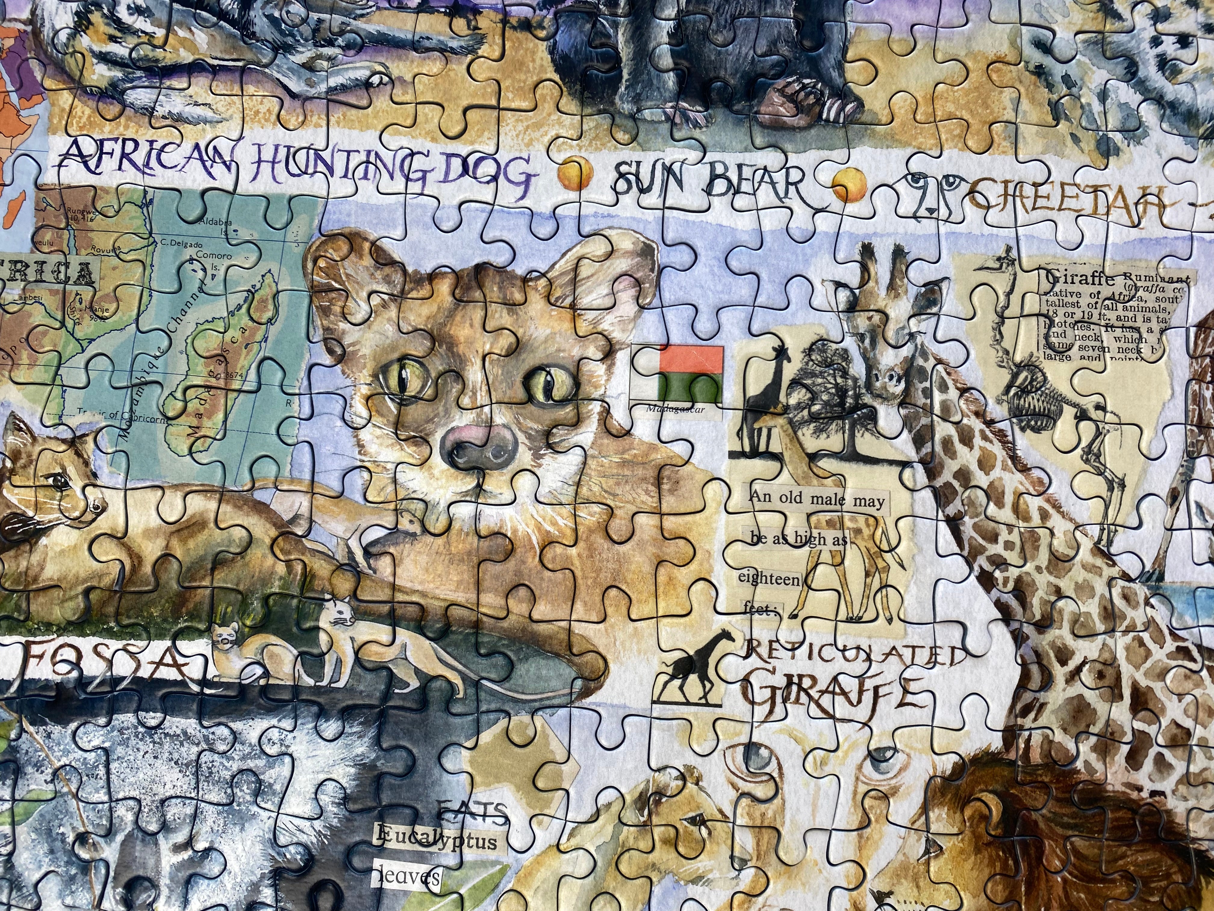 A completed jigsaw puzzle featuring illustrated African animals, including a large lion cub, giraffe, cheetah, hippo, elephant, and other wildlife, with labeled sections and a collage-style design.