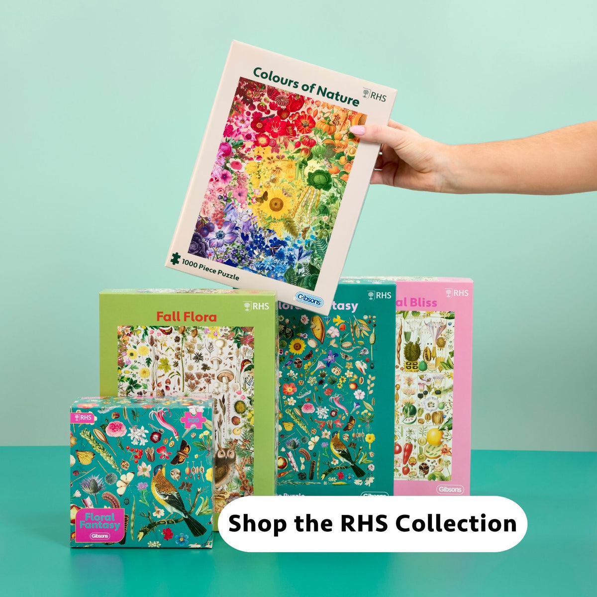 Hand holding a RHS puzzle box with other puzzle boxes on a teal background