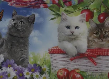 12 XXL Piece Puzzles