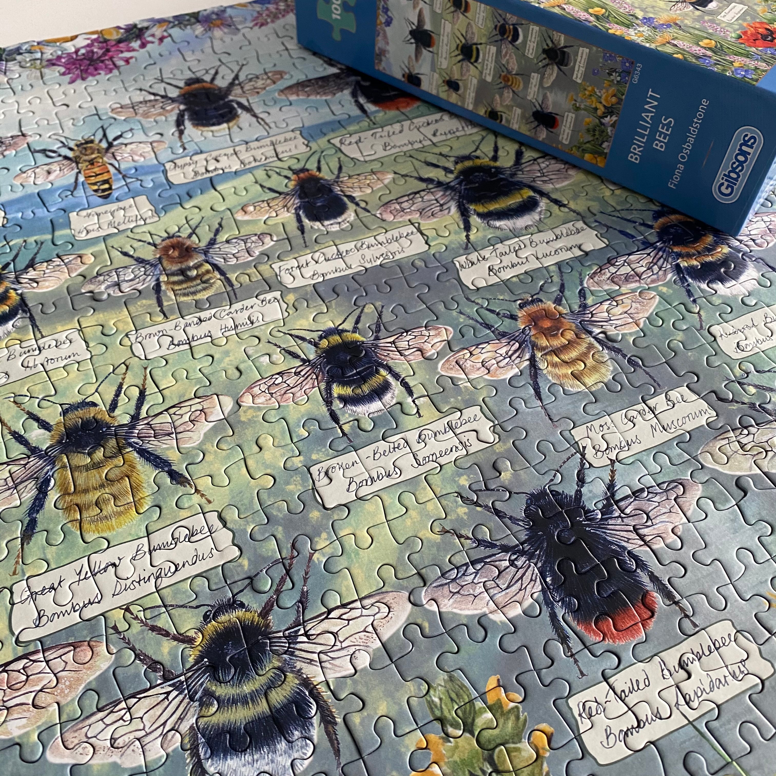 brilliant bees 1000 piece jigsaw puzzle by gibsons games, art by fiona osbaldstone