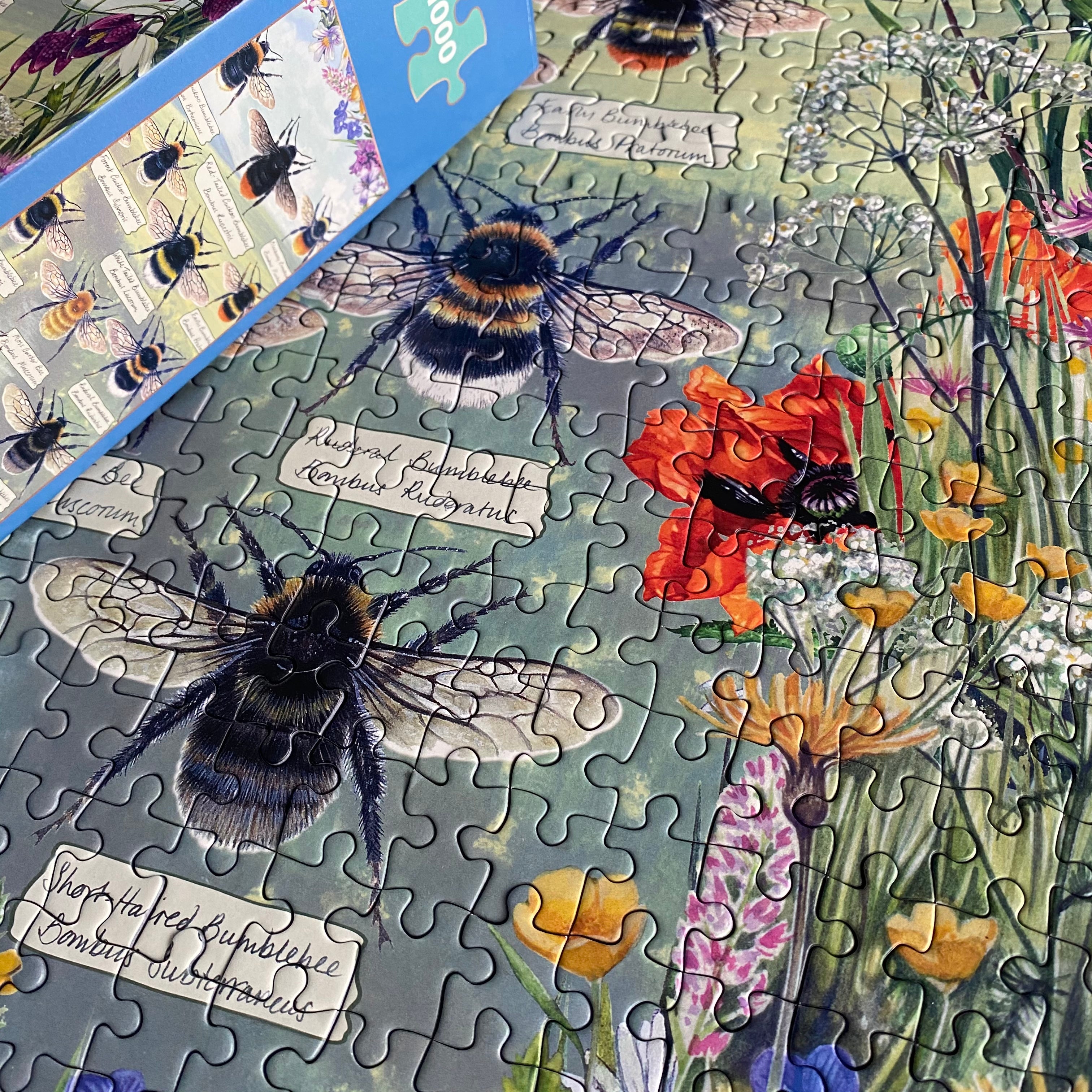 brilliant bees 1000 piece jigsaw puzzle by gibsons games, art by fiona osbaldstone