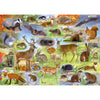 british wildlife 500 piece jigsaw puzzle drawn by lisa Alderson - gibsons games