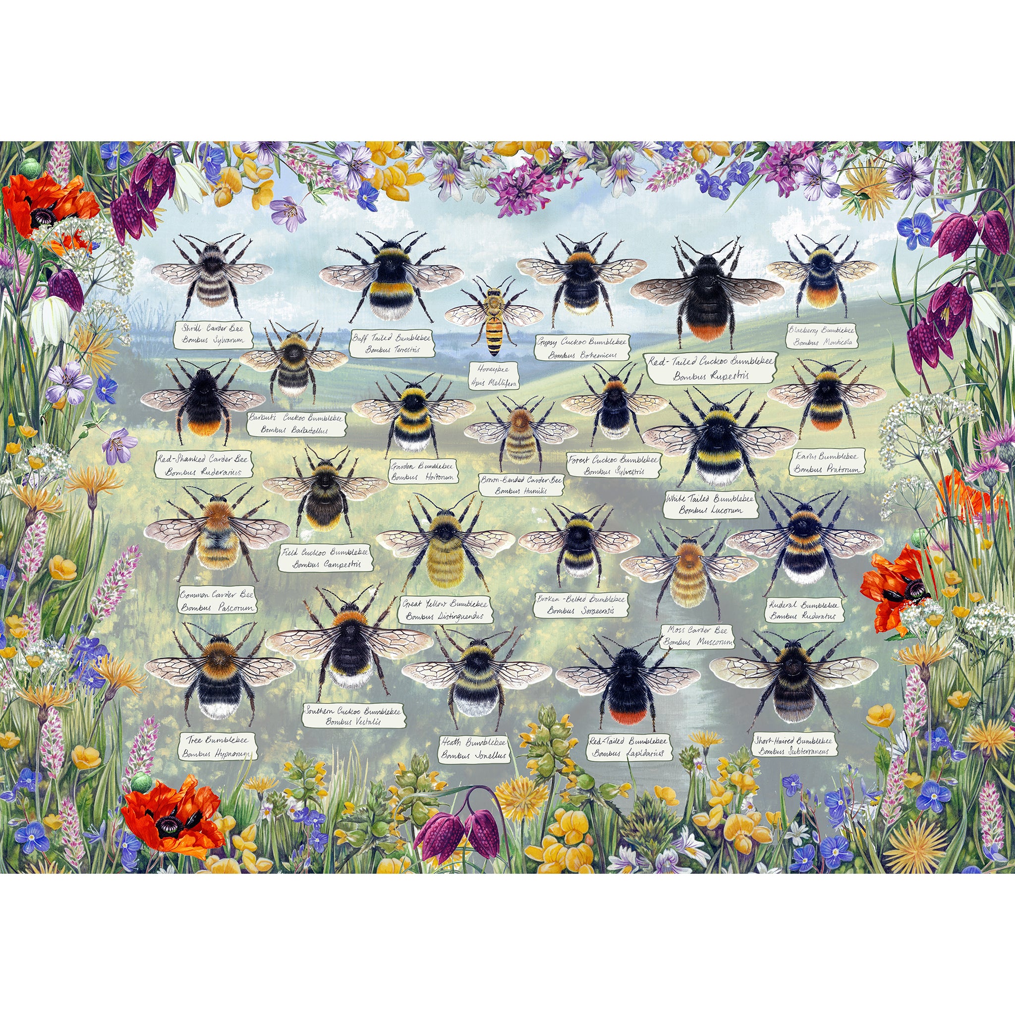 brilliant bees 1000 piece jigsaw puzzle by gibsons games, art by fiona osbaldstone