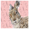 Ralphie Rabbit Greetings Card