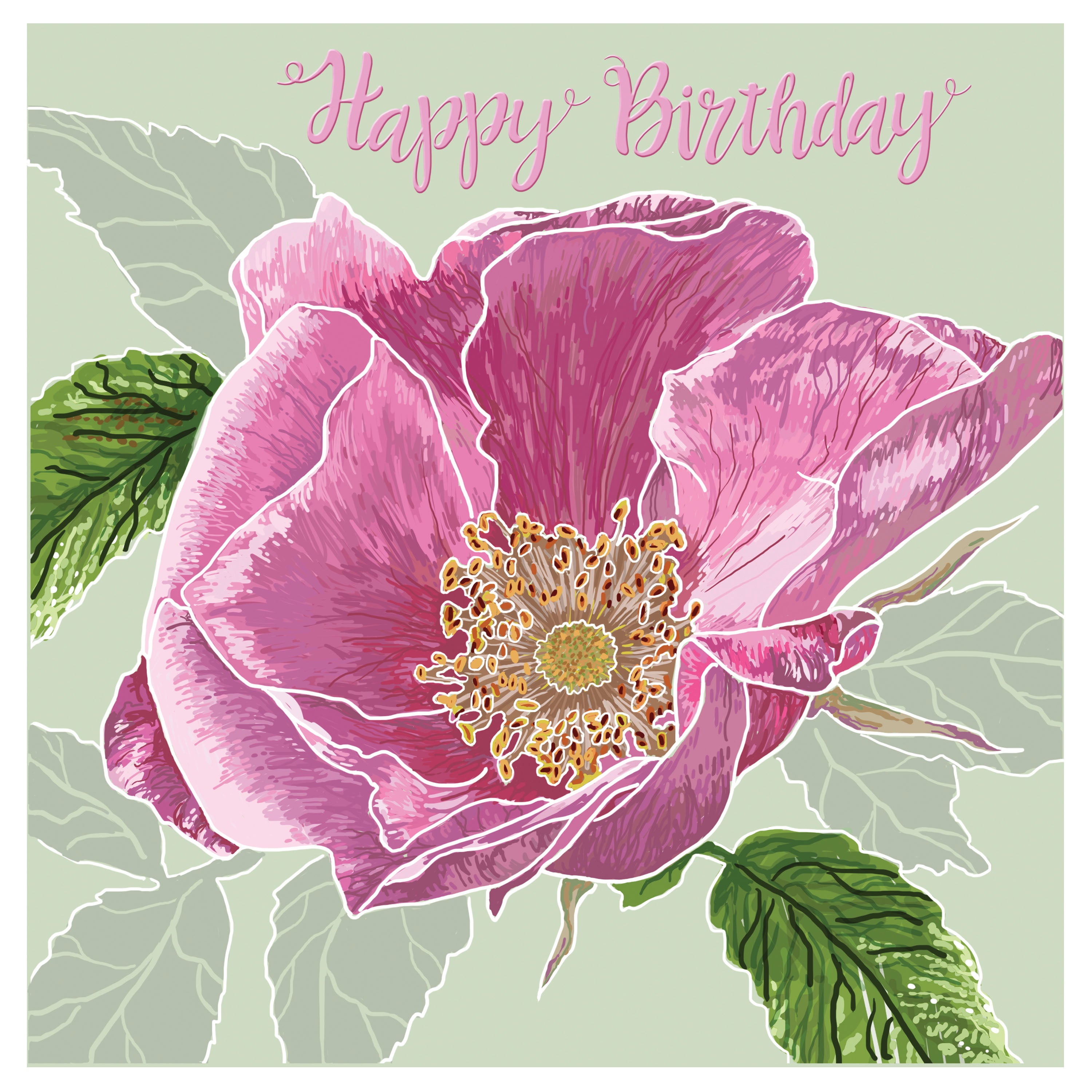 Wild Rose Birthday Card