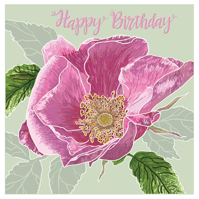 Wild Rose Birthday Card | Gibsons