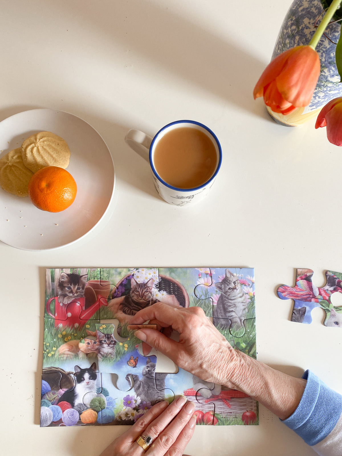 Piecing Together - Cats- Extra Large Piece Jigsaw Puzzle for those living with dementia