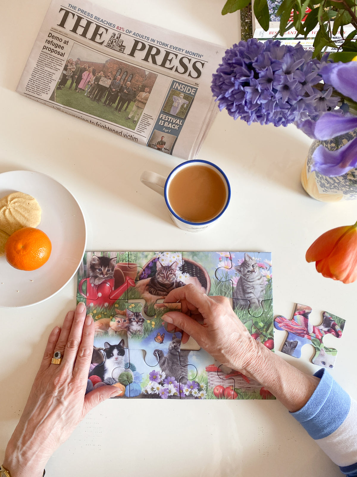 Piecing Together - Cats- Extra Large Piece Jigsaw Puzzle for those living with dementia
