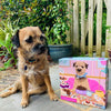 G6617 Nibbles With Nora 1000 Piece jigsaw puzzle by Gibsons Games